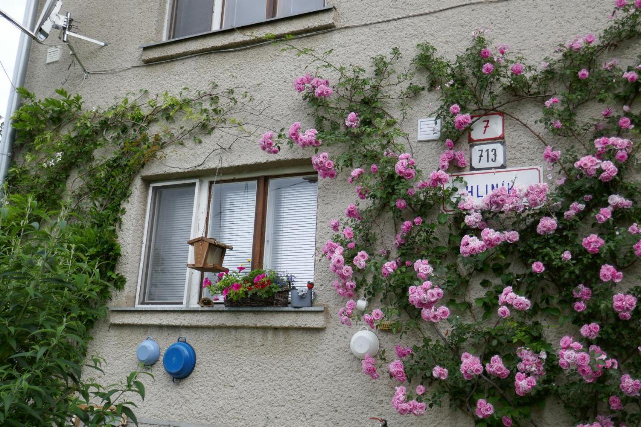 Apartment At Sedliacky Dvor - برزنو المظهر الخارجي الصورة